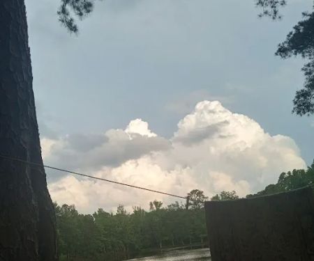 Briscoe Trailer Park