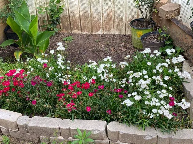 El Bosque Mobile Home Community 6