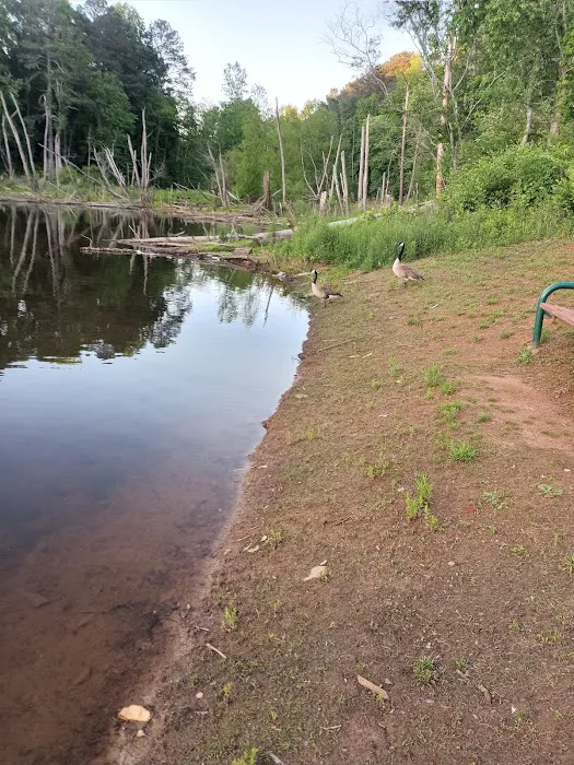 Pine Lake Community 1
