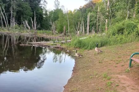 Pine Lake Community