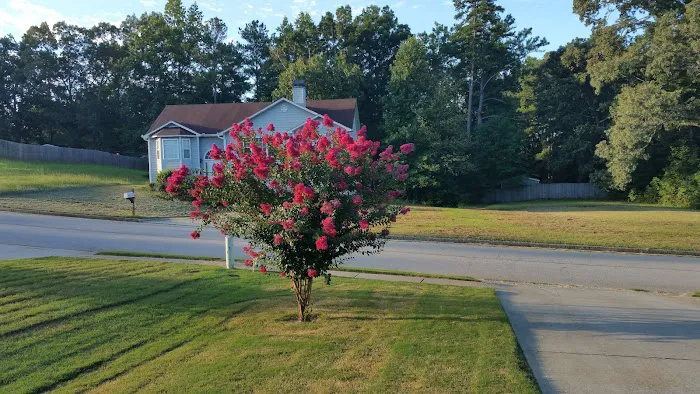 Pine Lake Community 3