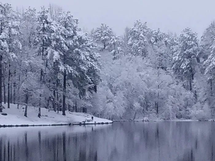 Pine Lake Community 4