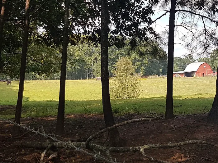 Pine Lake Community 7