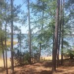 Pavilion #1 - Pointes West