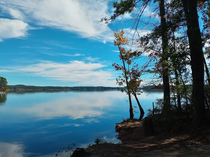 Hesters Ferry Campground 1