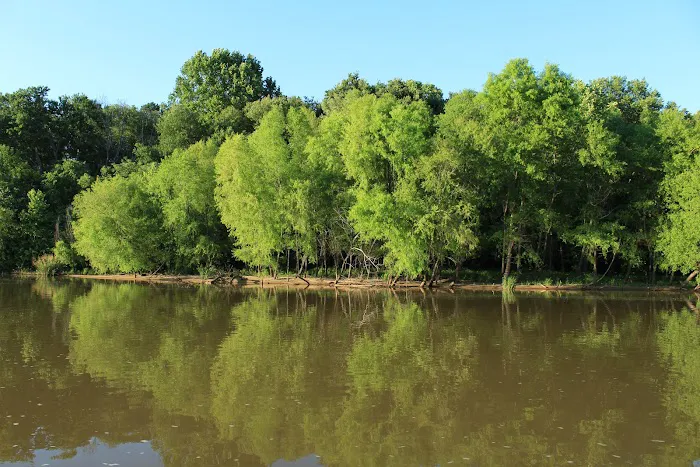 Broad River Campground 5