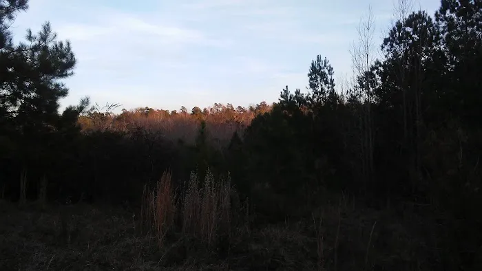 Fox Hollow Camp Ground 6