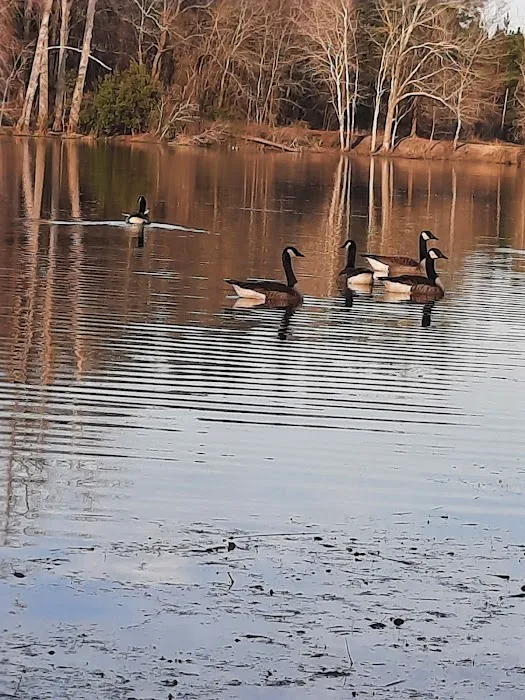 Diamond Lakes Campground 3