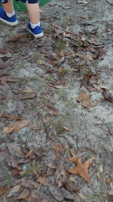 Mount Moriah Campgrounds 2