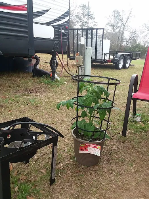 Peach Orchard RV Park & Campground 7