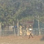 Plantation Acres Mobile Homes