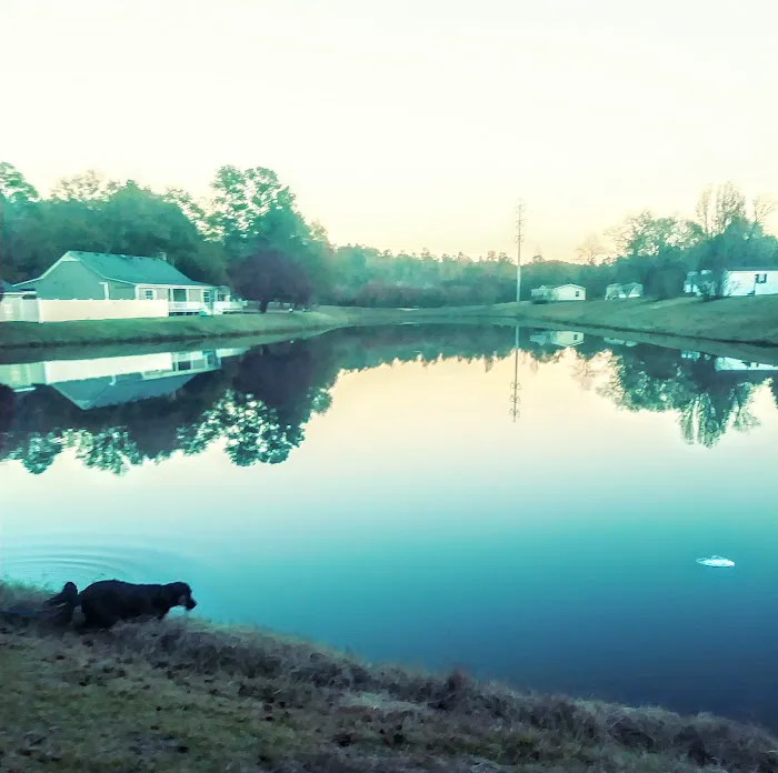 Butler Creek Mobile Home Community 7