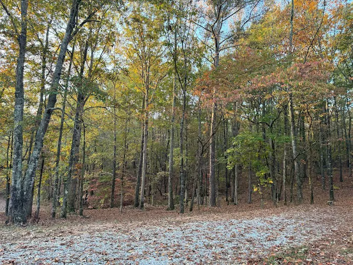 Hidden Branch Campground 3
