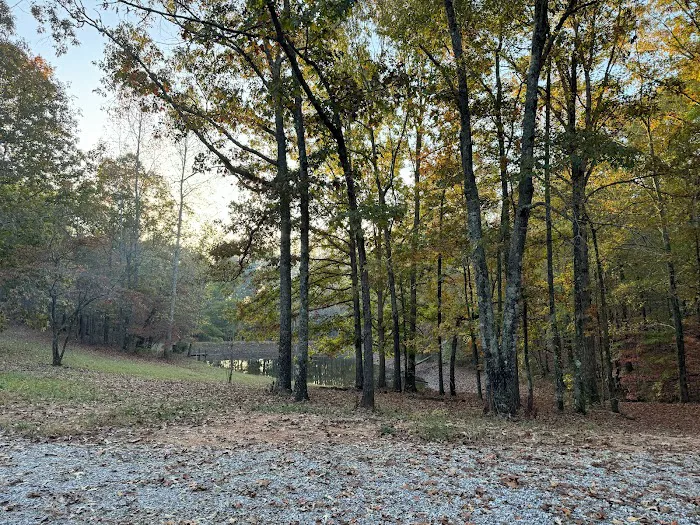 Hidden Branch Campground 2