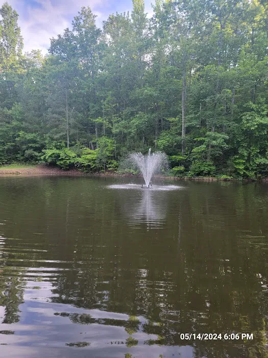 Hidden Branch Campground 6