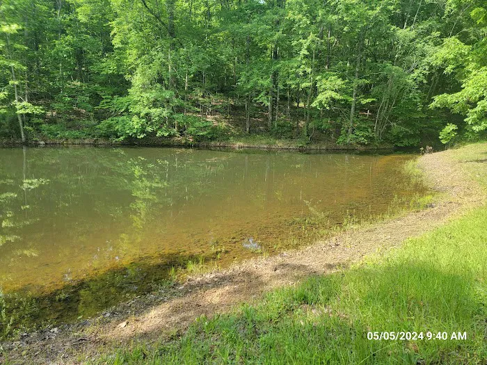Hidden Branch Campground 4
