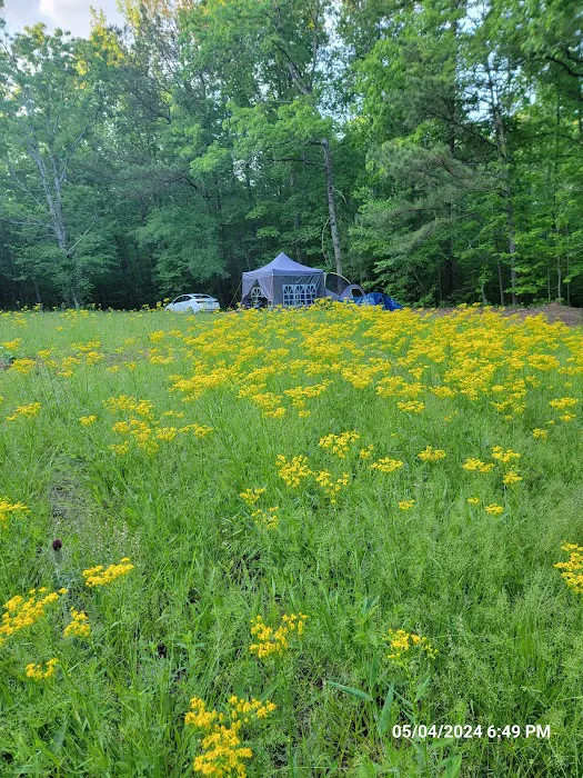 Hidden Branch Campground 5
