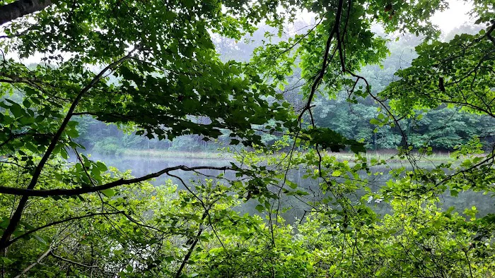 Camp Sequoyah: Frank Spain Scout Reservation 9