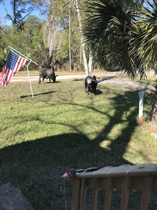Green Acres RV Park 4