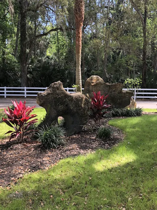 Bulow RV Resort 5