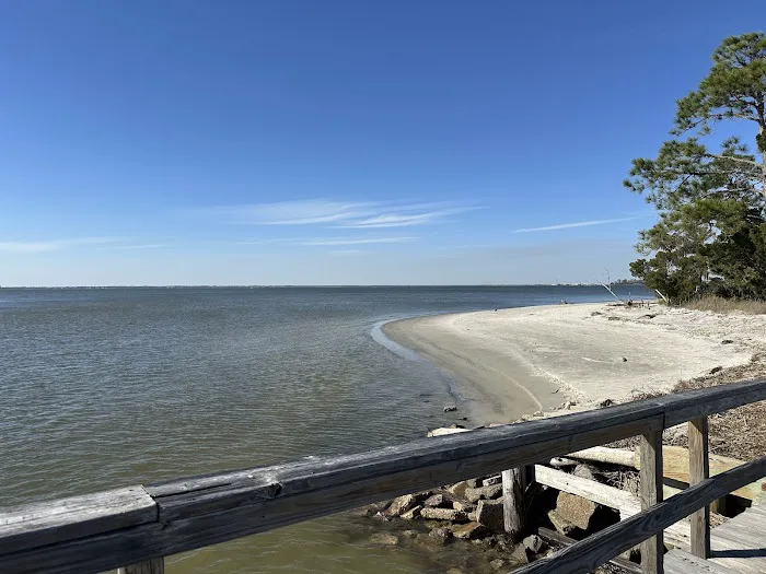 Jekyll Island Campground 4