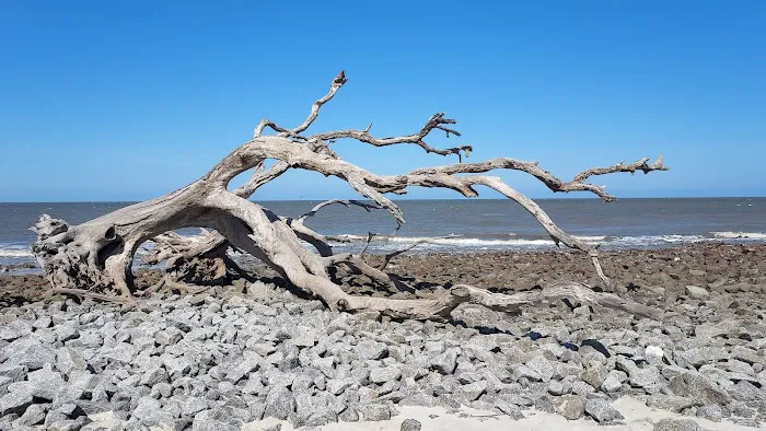 Jekyll Island Campground 5