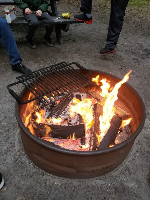 Jekyll Island Campground 7