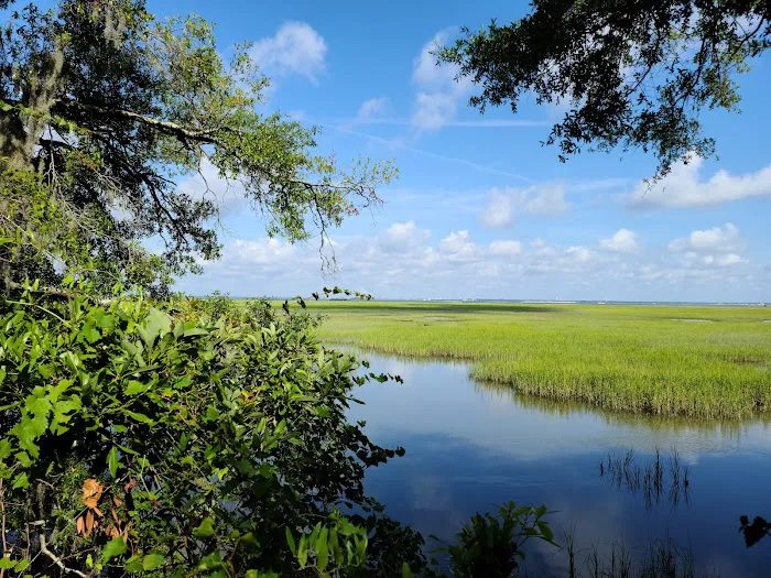 Jekyll Island Campground 9