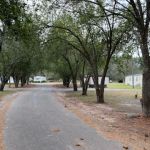 Shady Pines Mobile Home/RV Park