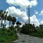 Hammock Oaks Luxury Golf and Motorcoach Resort