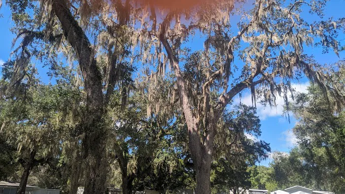 Florilow Oaks 9