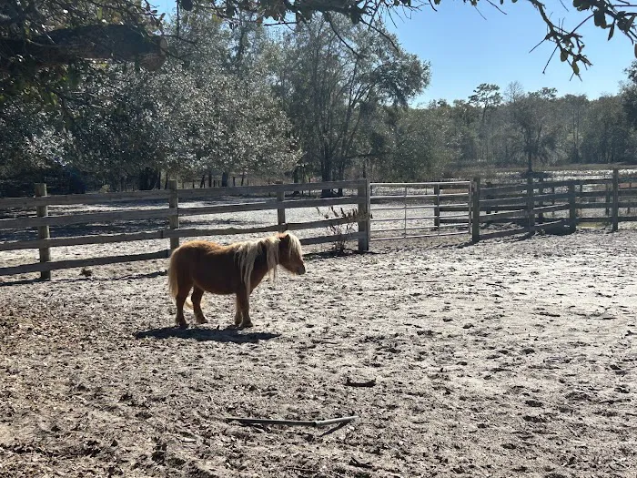 Lucky U Ranch 1