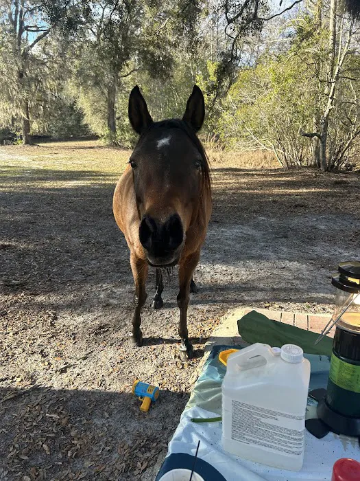 Lucky U Ranch 4