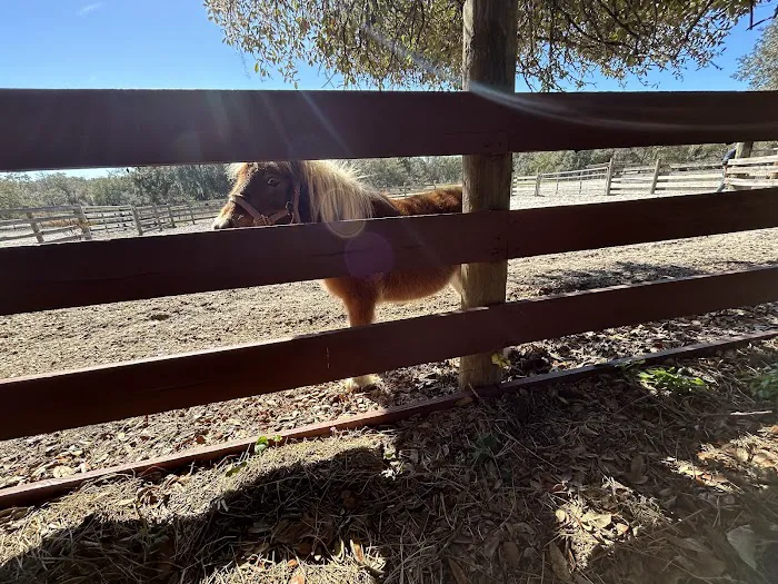 Lucky U Ranch 3