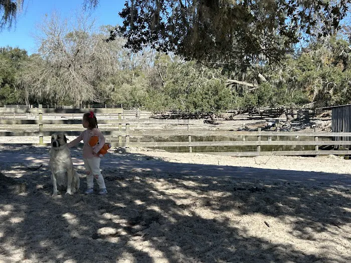 Lucky U Ranch 2