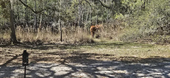 Lucky U Ranch 7