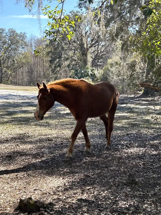 Lucky U Ranch 6