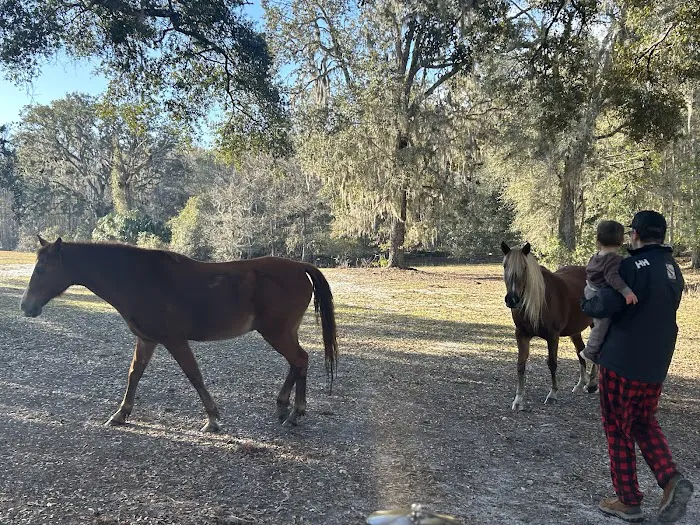 Lucky U Ranch 5