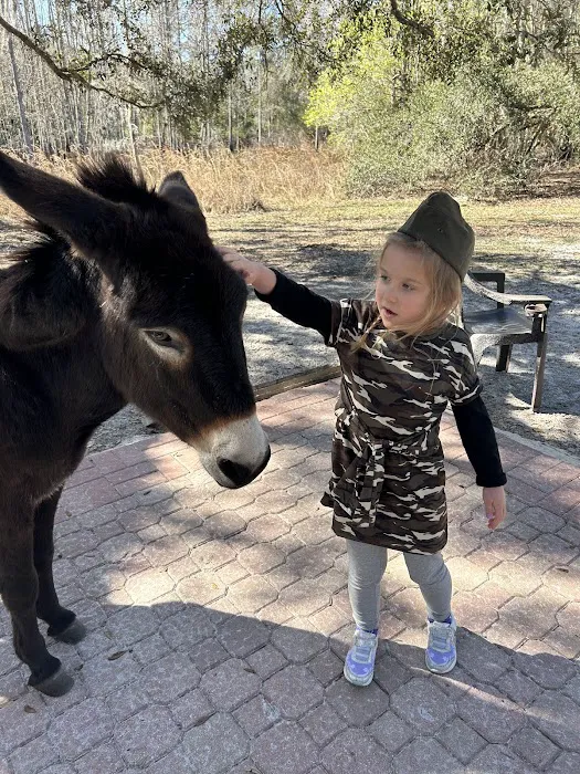 Lucky U Ranch 10