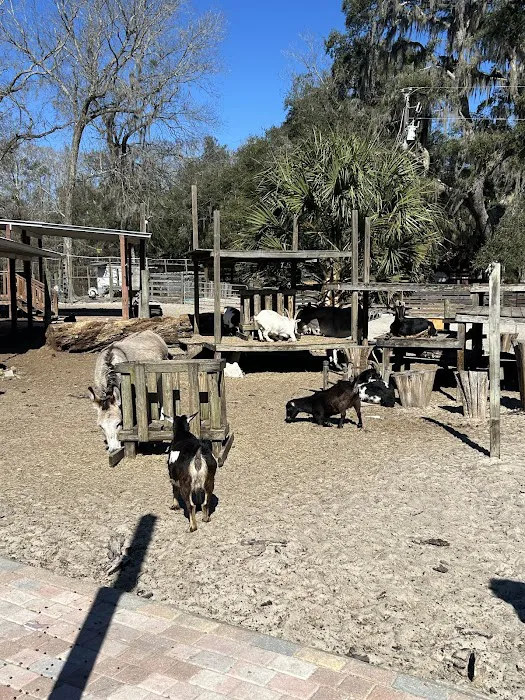 Lucky U Ranch 9