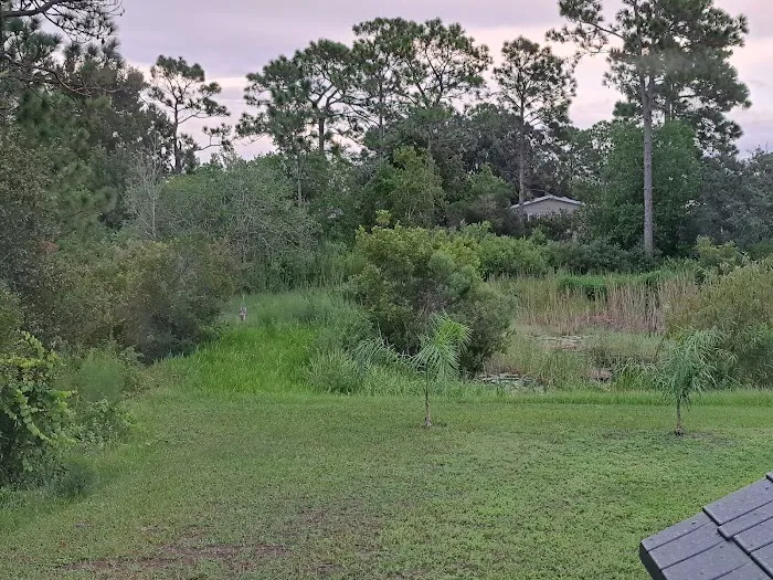 Walden Woods South 8