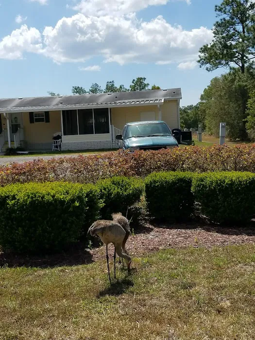 Walden Woods South 9
