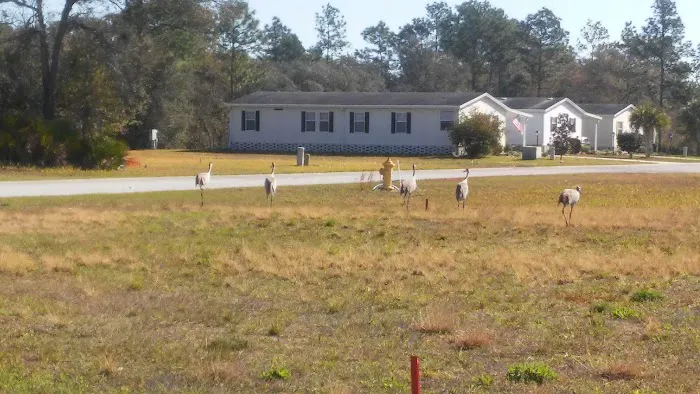 Walden Woods South 10