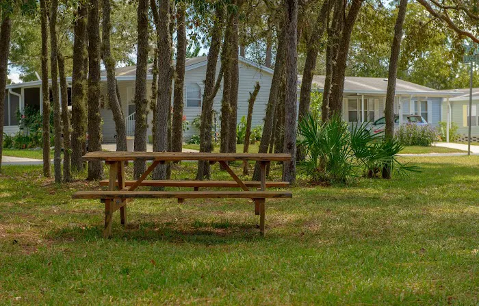 Walden Woods 9