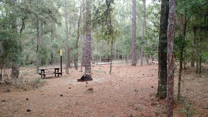 Colonel Robin's Group Area 4