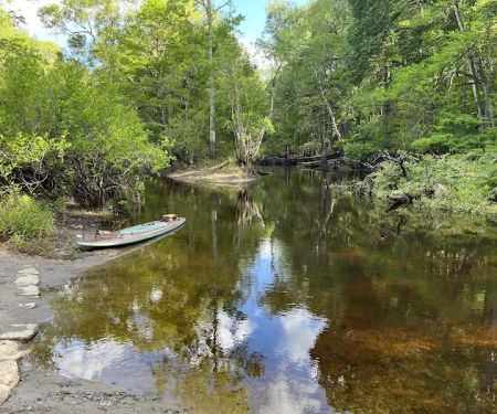Hog Island Recreation Area, Campground & Kayak Launch