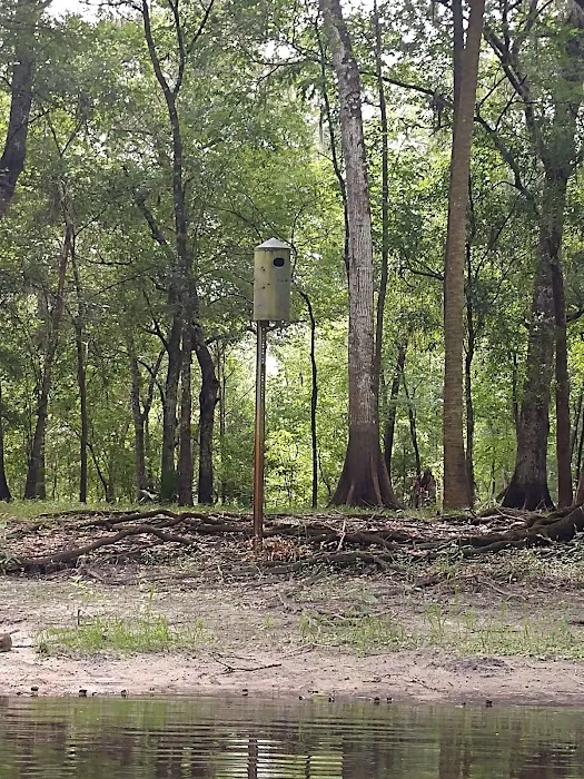 Hog Island Recreation Area, Campground & Kayak Launch 3