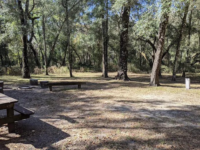 Hog Island Recreation Area, Campground & Kayak Launch 5