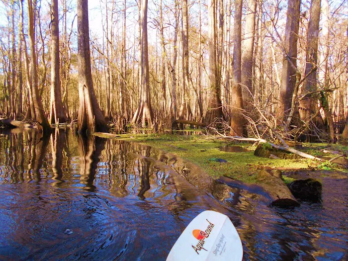 Hog Island Recreation Area, Campground & Kayak Launch 6