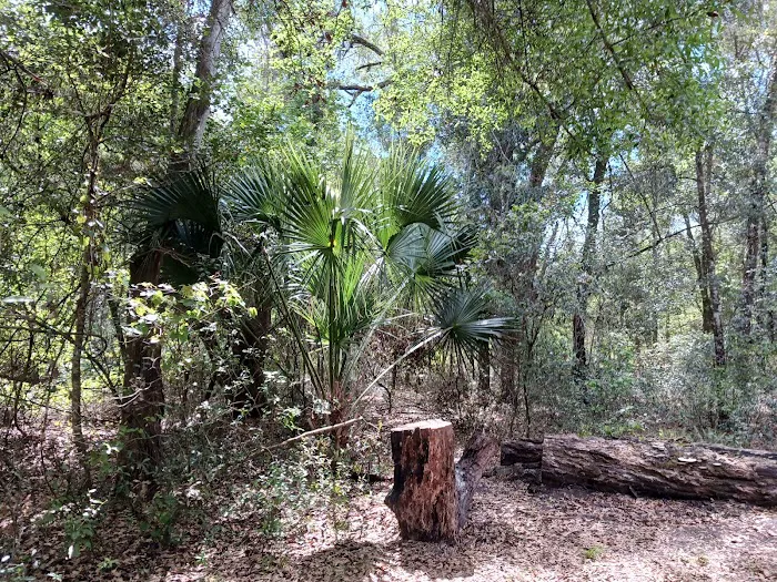 Hog Island Recreation Area, Campground & Kayak Launch 9